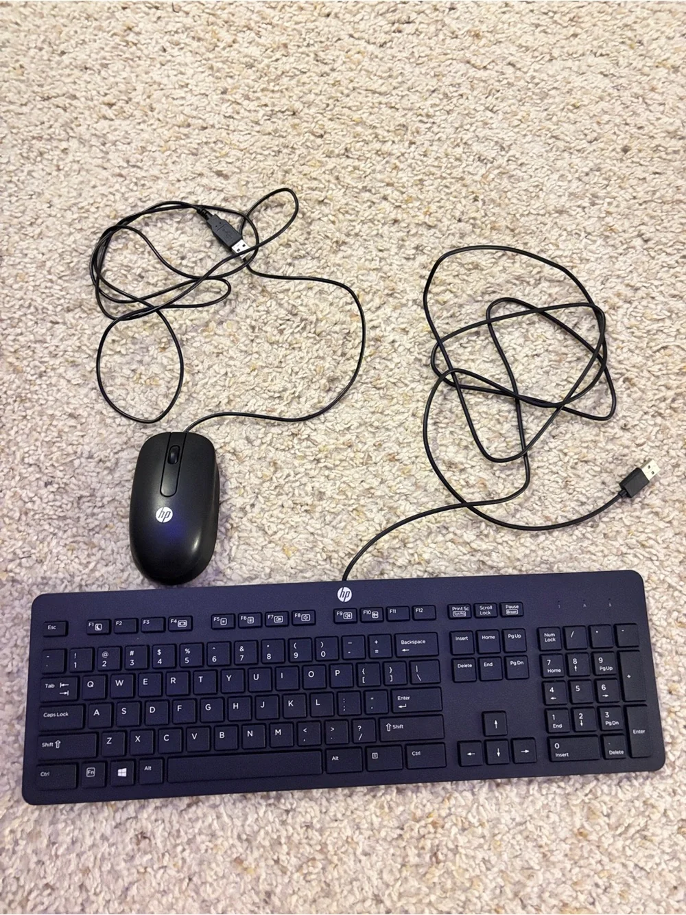 HP Black Wired USB Keyboard and Mouse Combo